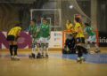 Hockey Club Deportivo Liceo vs Palau / SABELA MOSCOSO